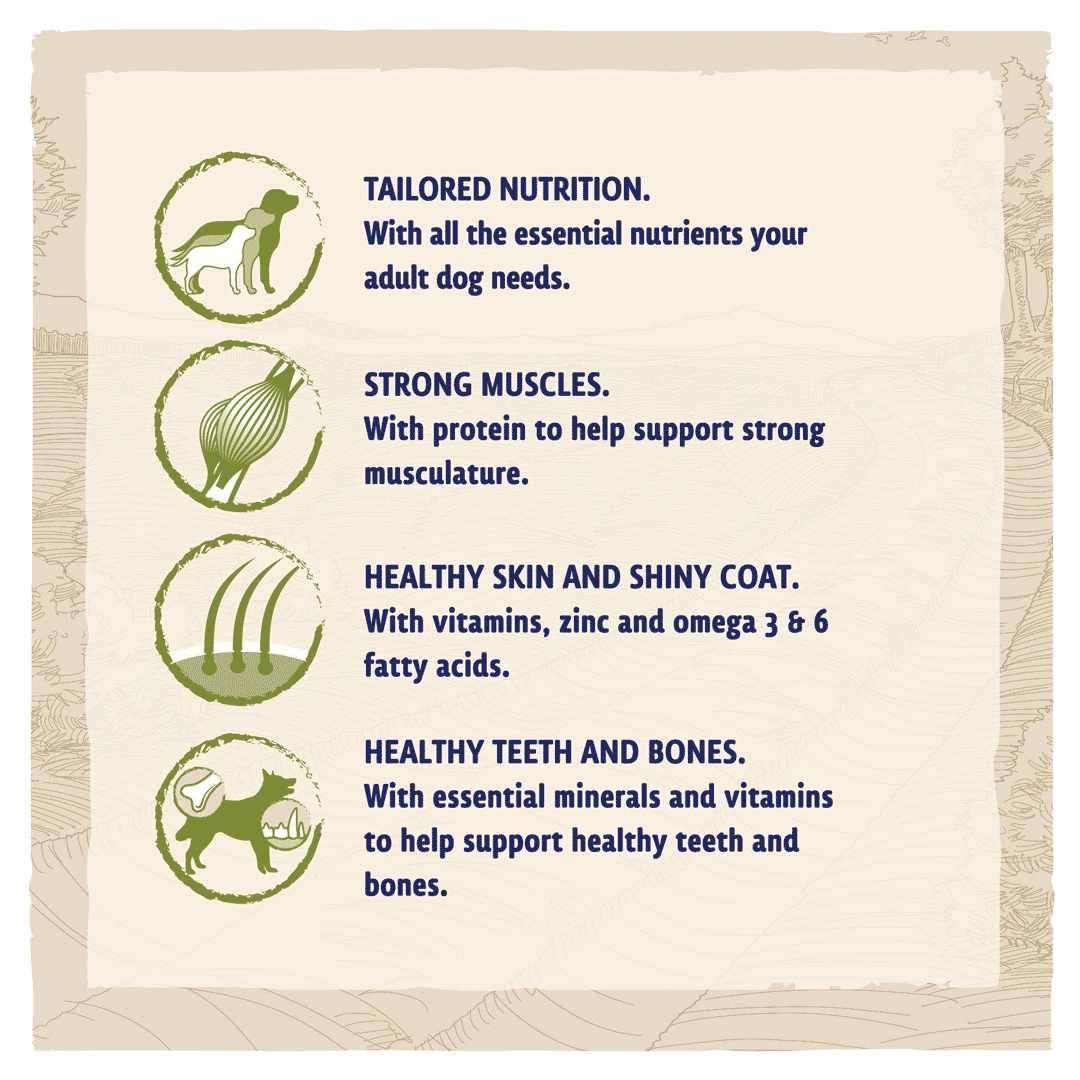 BETA Adult Turkey & Lamb, Beta, 2 kg