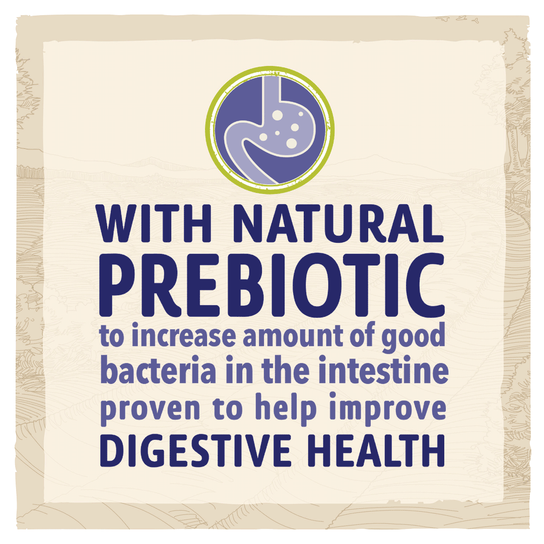 BETA Adult Turkey & Lamb, Beta, 2 kg