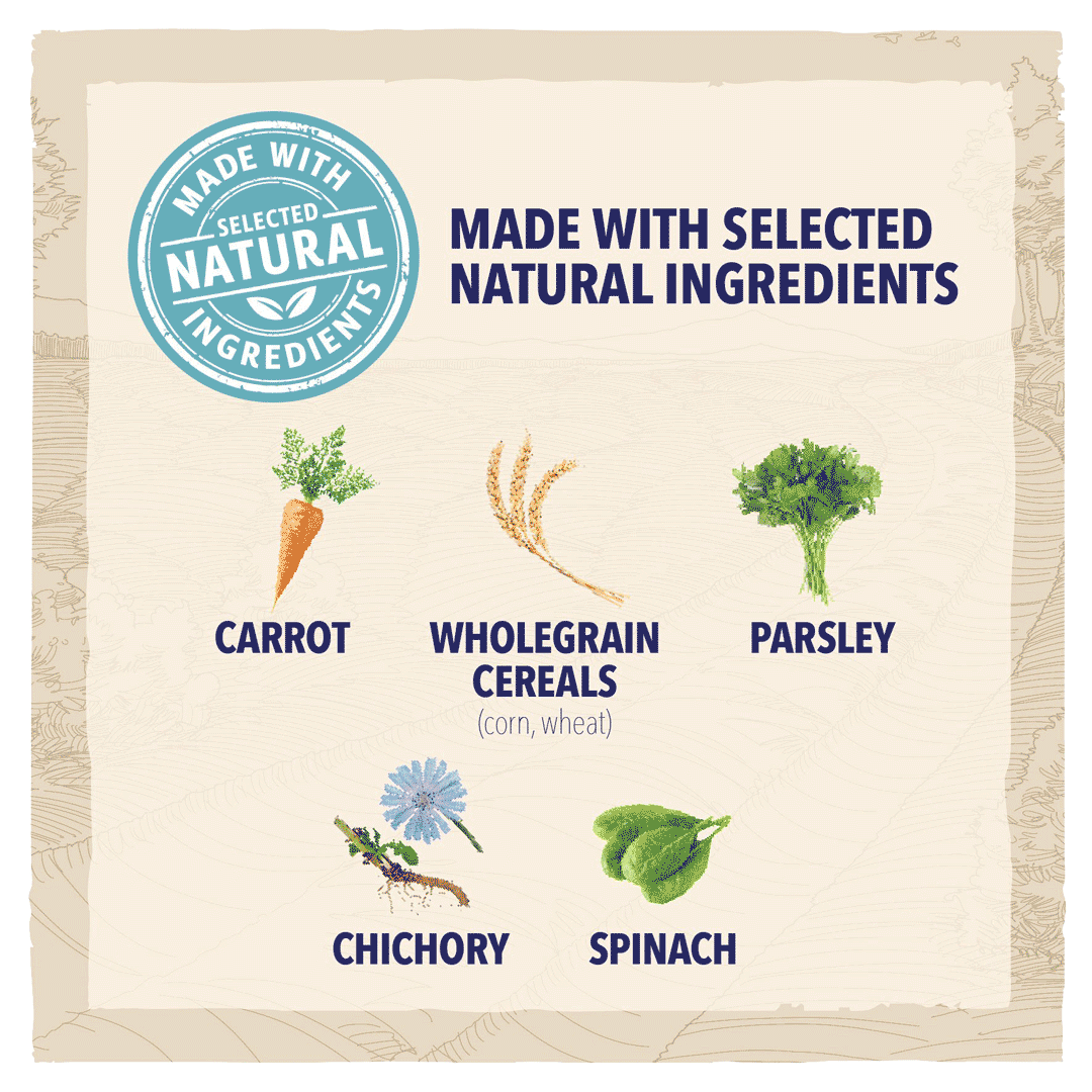 BETA Puppy Chicken Dry Dog Food, Beta, 2 kg