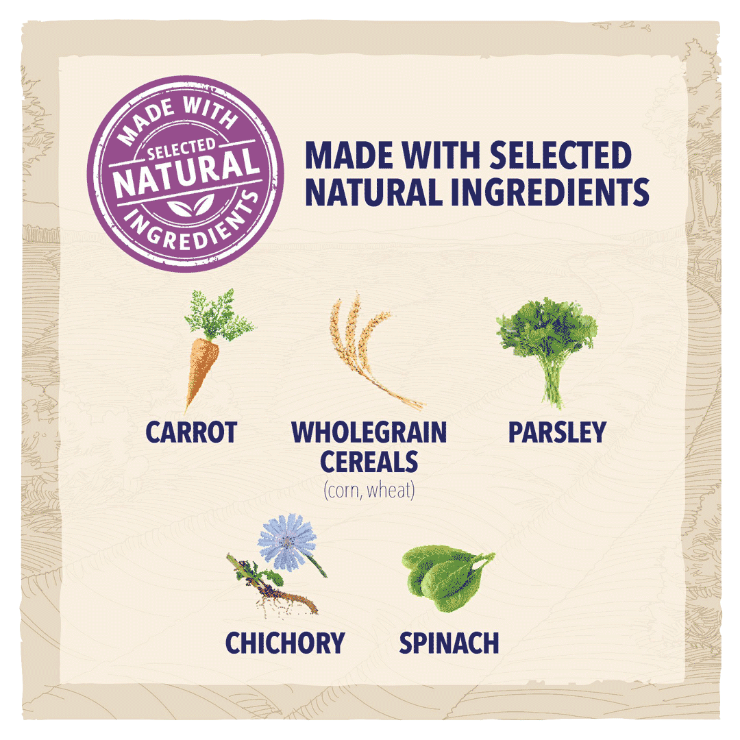 BETA Senior Chicken Dry Dog Food, Beta, 2 kg