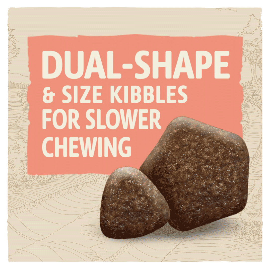 BETA Working Dog Chicken Dry Food 14 kg, Beta,