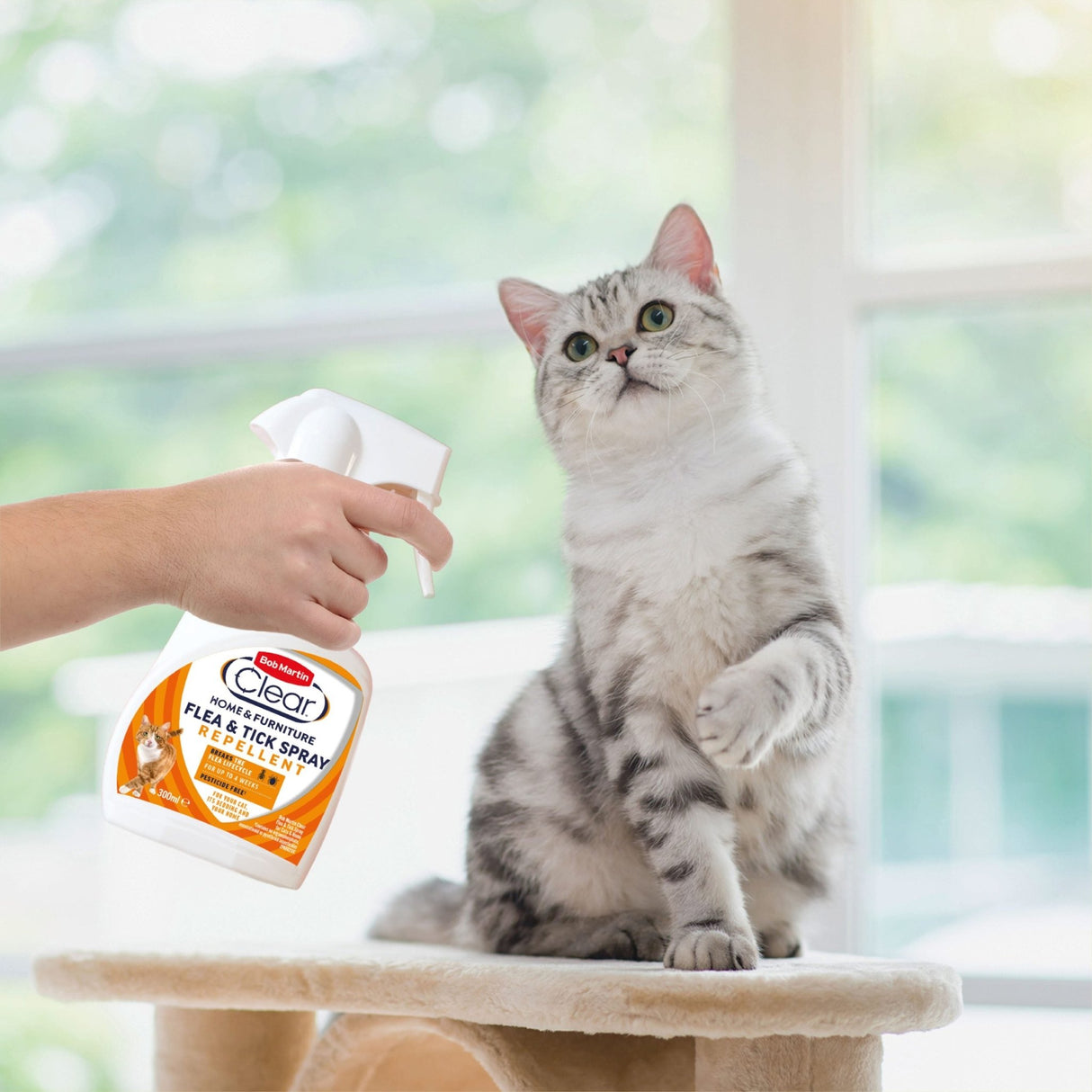 Bob Martin Clear Pet & Home Flea & Tick Repellent Spray 300ml x 6, Bob Martin,