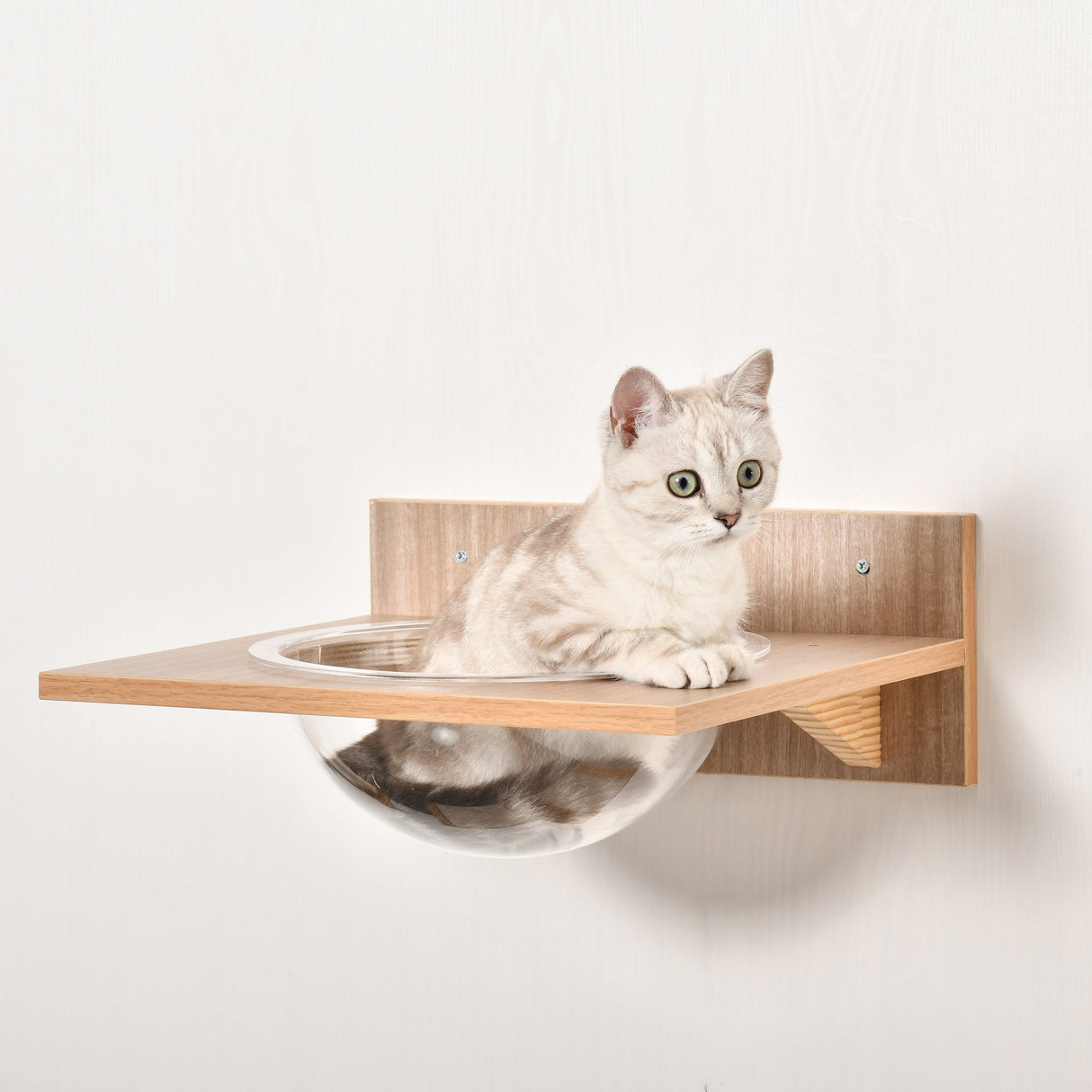 Cat Tree 4PCs Wall-mounted Shelf Set Climbing Frame Activity Center, PawHut,