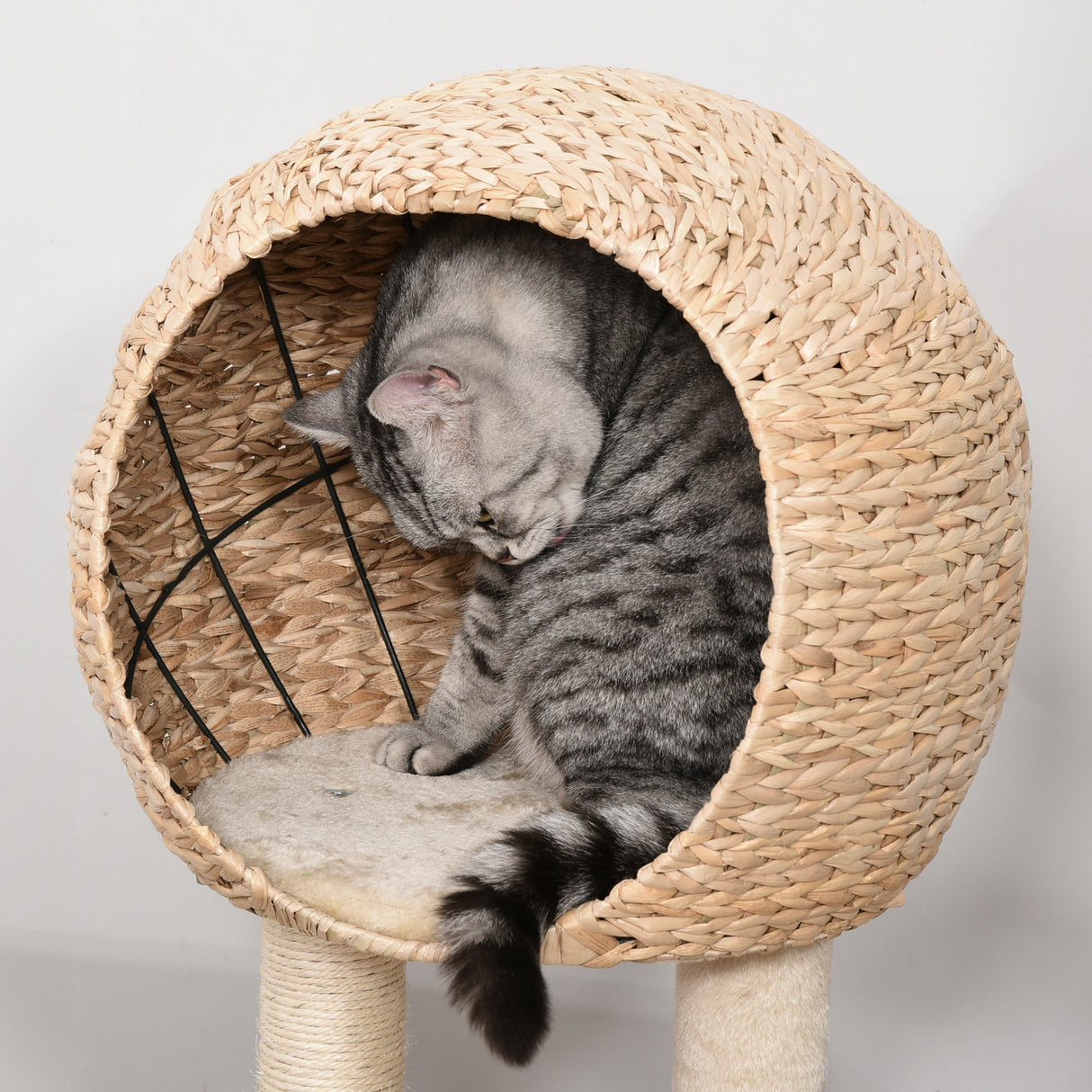 Cat Tree for Indoor Cats 100cm Kitten Climbing Tower Activity Center with Sisal Scratching Post Condo Perch Hanging Balls Teasing Rope Toy Cushion, PawHut,