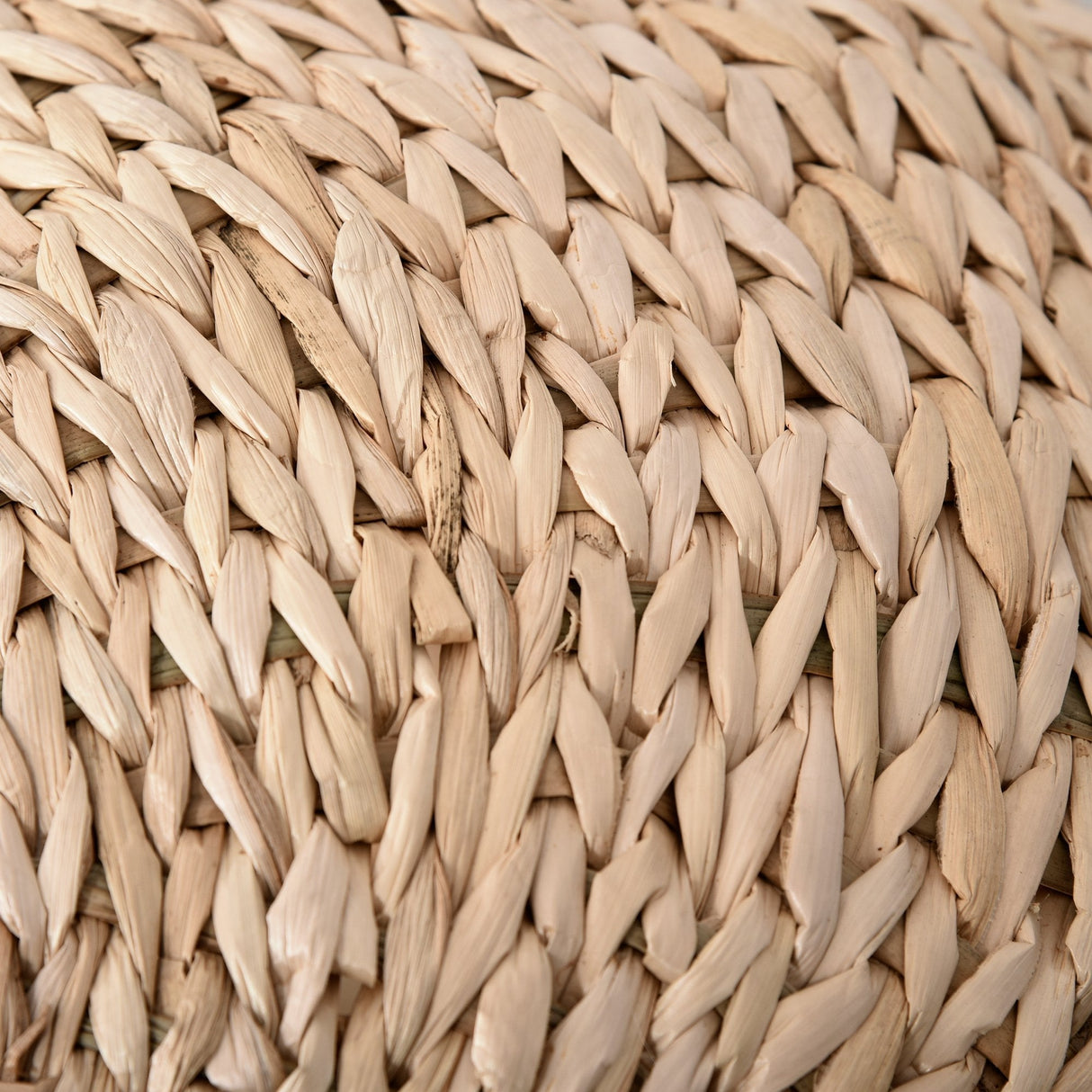 Cat Tree for Indoor Cats 100cm Kitten Climbing Tower Activity Center with Sisal Scratching Post Condo Perch Hanging Balls Teasing Rope Toy Cushion, PawHut,