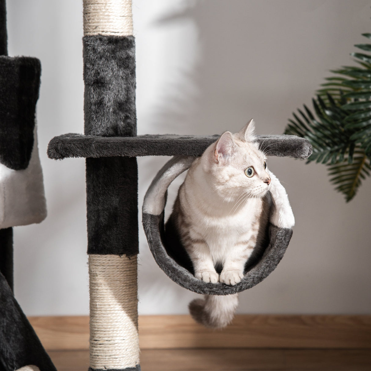 Cat Tree Kitten Condo Fun House 240-260cm Deep Grey and White, PawHut,