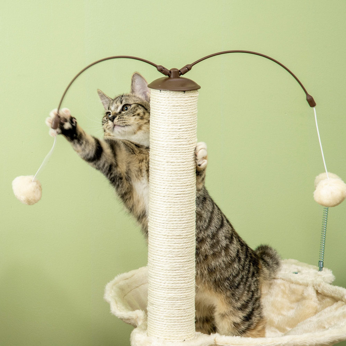 Cat Tree, with Scratching Posts, Hammock, Toy Ball - Beige, PawHut,