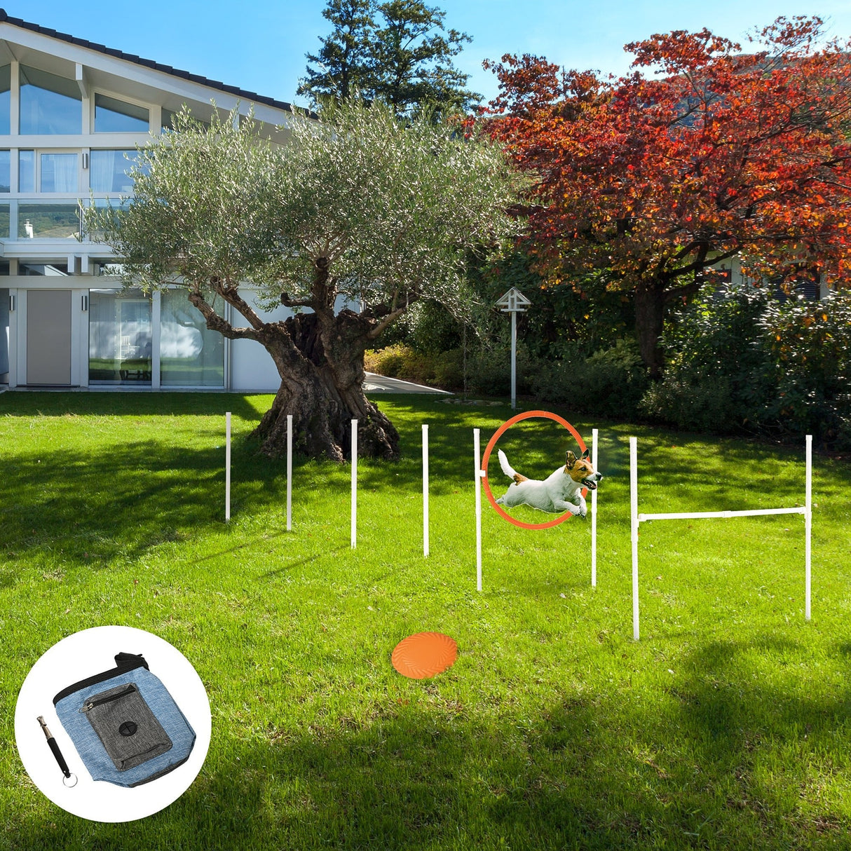 Complete Dog Agility Training Set with Portable Bag, PawHut,