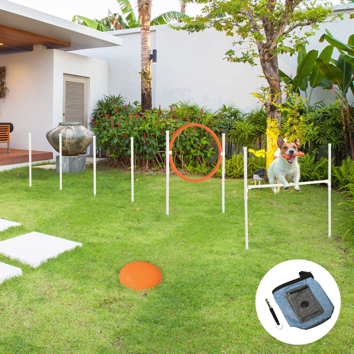 Complete Dog Agility Training Set with Portable Bag, PawHut,