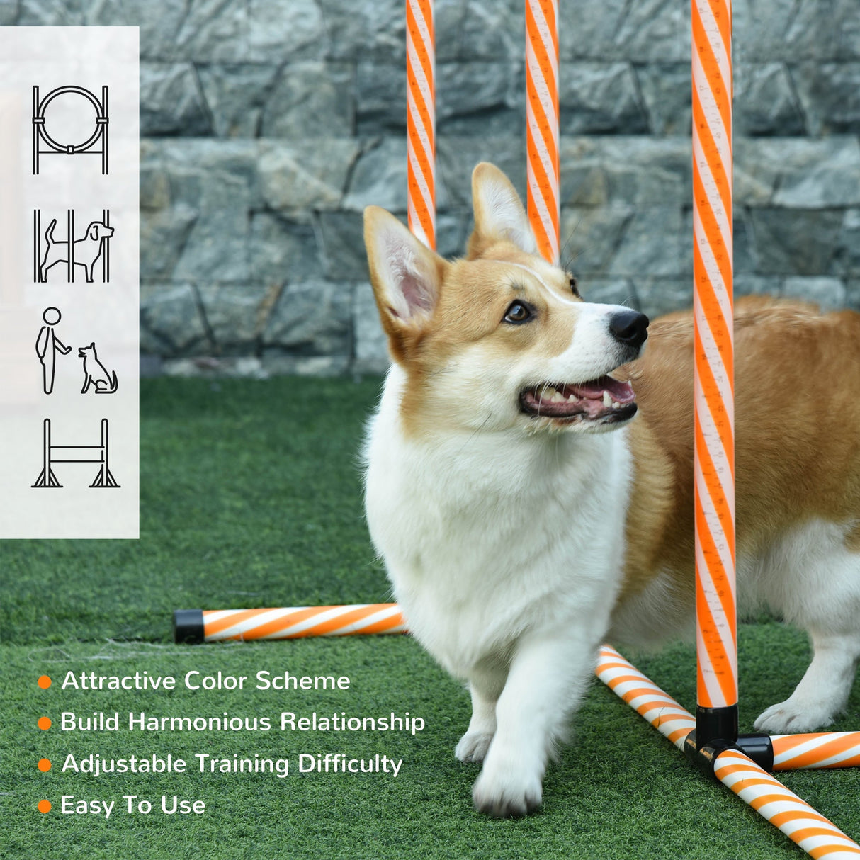 Dog Agility Training Set with Adjustable Height Jump Ring, High Jumper, Weave Poles, Square Pause Box, Carry Bag, Whistle, PawHut,