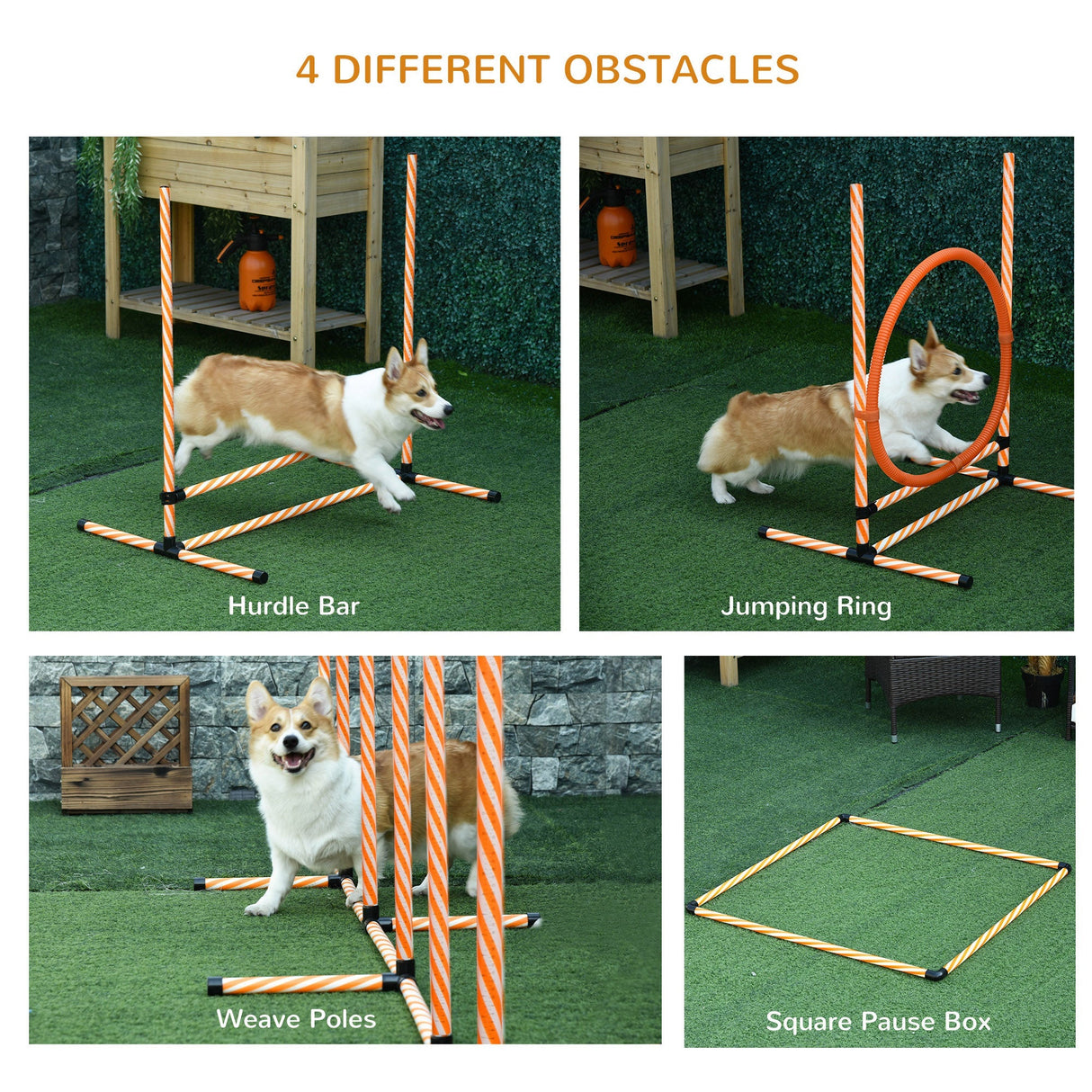 Dog Agility Training Set with Adjustable Height Jump Ring, High Jumper, Weave Poles, Square Pause Box, Carry Bag, Whistle, PawHut,