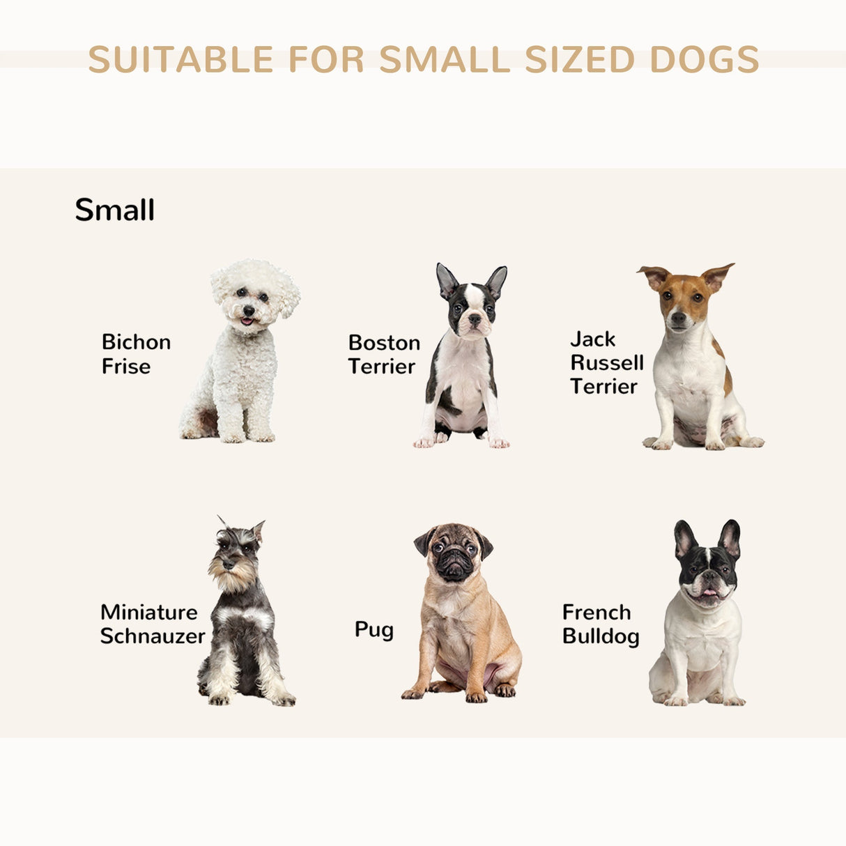 Dog Sofa with Storage, Pet Chair for Small Dogs, Cat Couch with Soft Cushion, Light Blue, 76 x 45 x 41.5 cm, PawHut, Light Blue