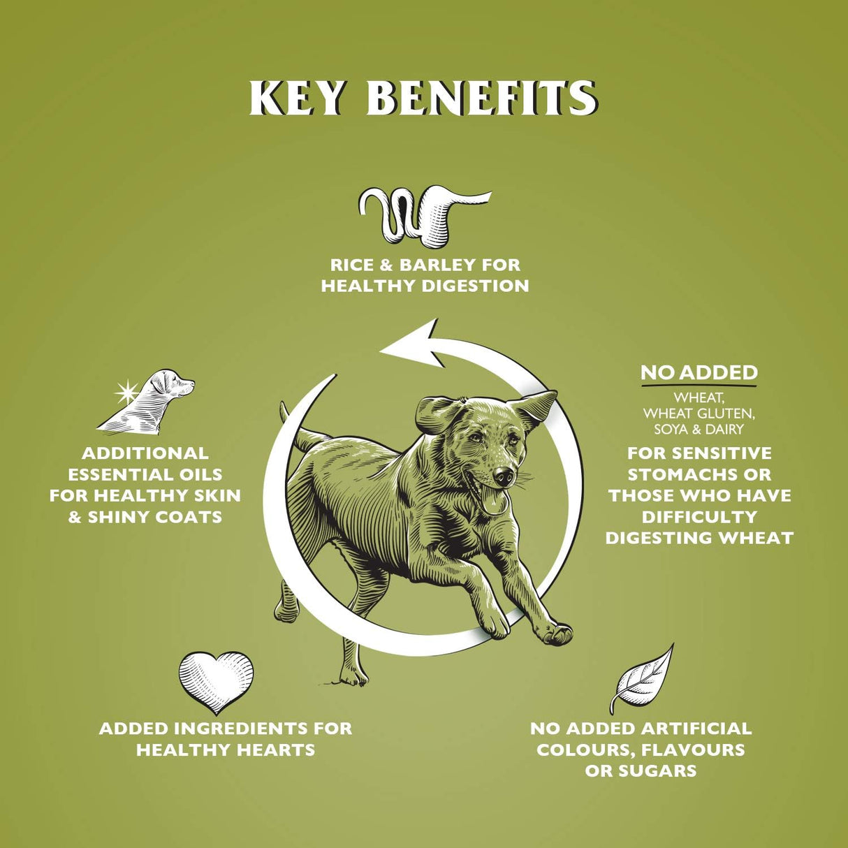 Dr John Hypoallergenic Lamb with Rice, Dr John, 12.5 kg