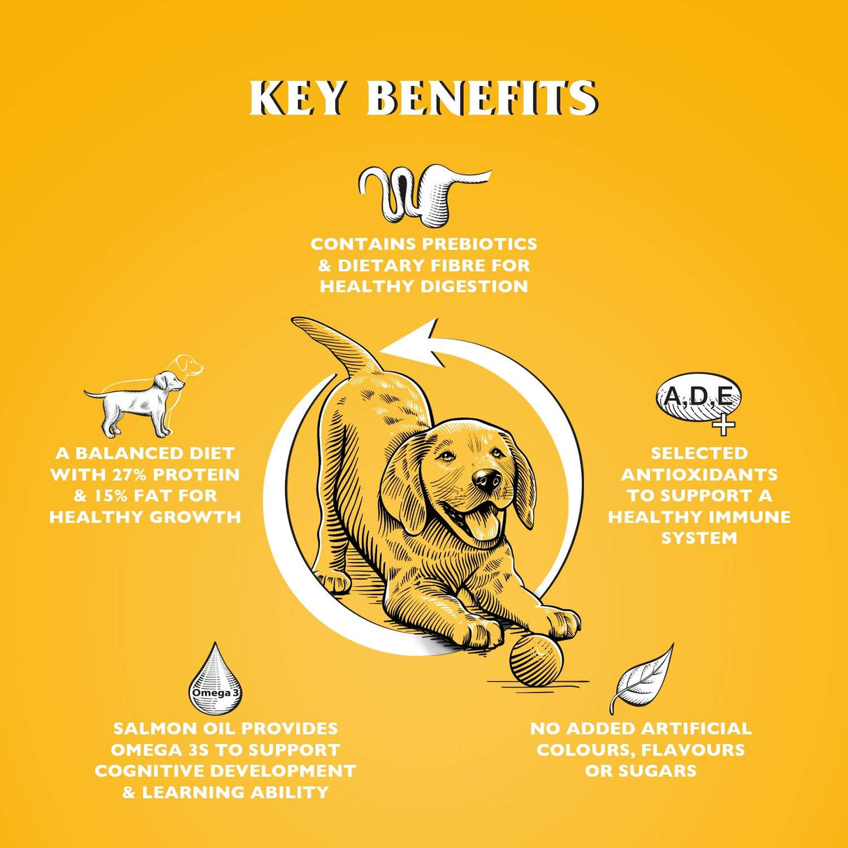 Dr John Puppy Chicken Recipe, Dr John, 10 kg