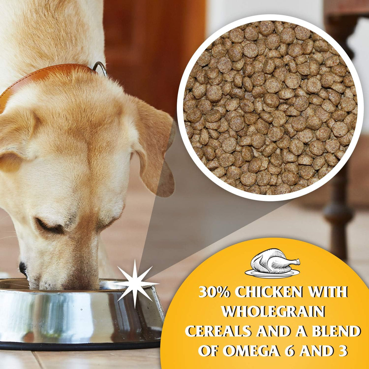 Dr John Puppy Chicken Recipe, Dr John, 10 kg