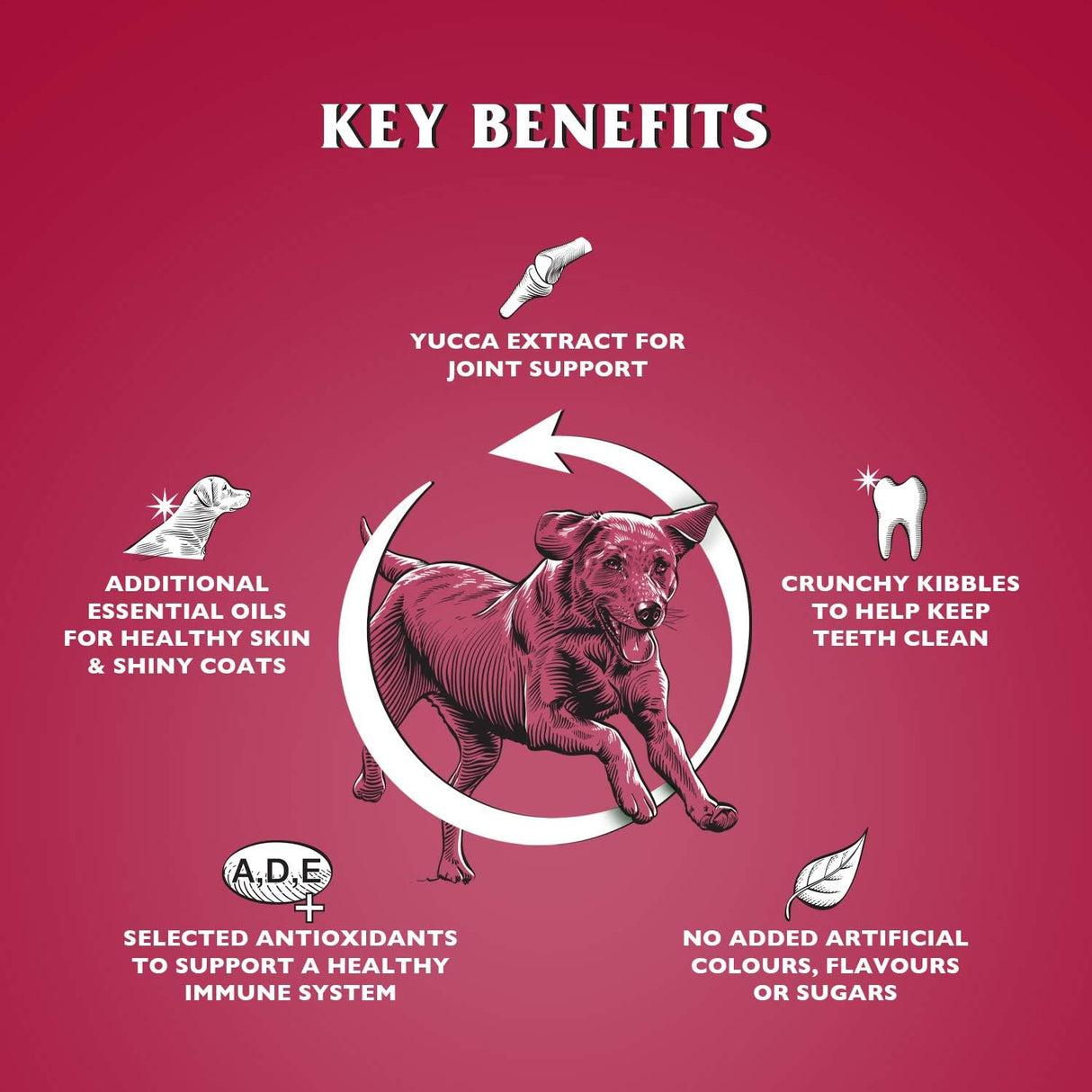 Dr John Silver with Beef and Vegetables 15 kg, Dr John,