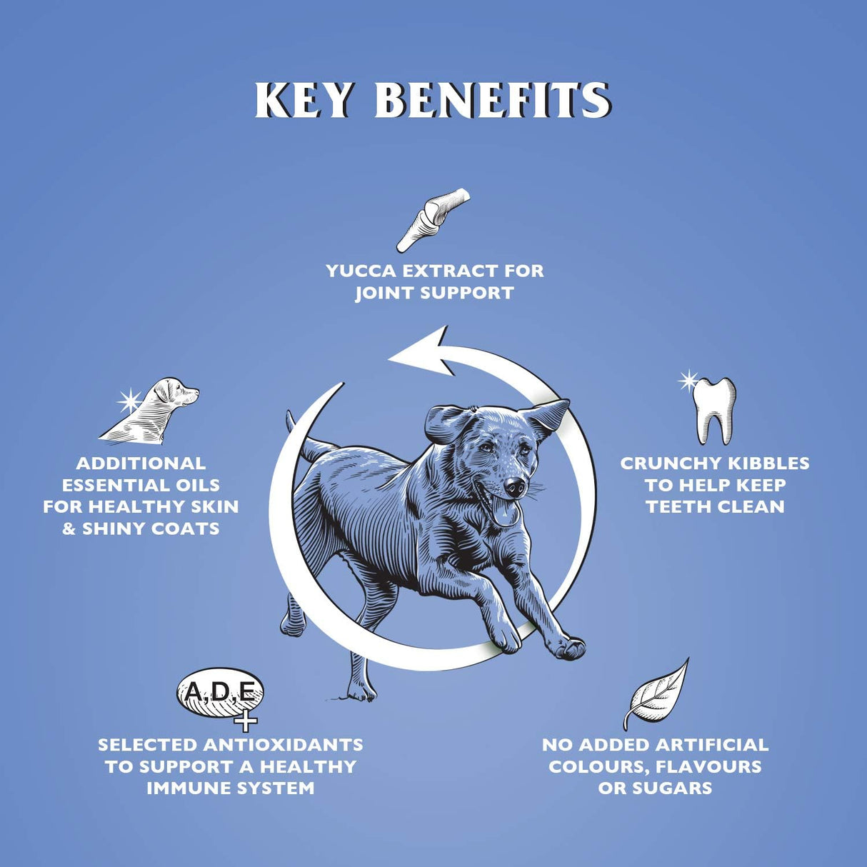 Dr John Silver with Chicken and Vegetables, Dr John, 15 kg