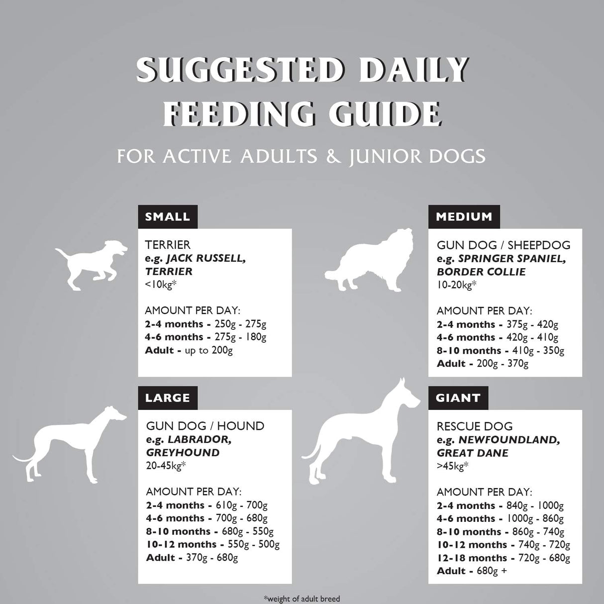 Dr John Titanium - Rich in Chicken with Vegetables, Dr John, 15 kg