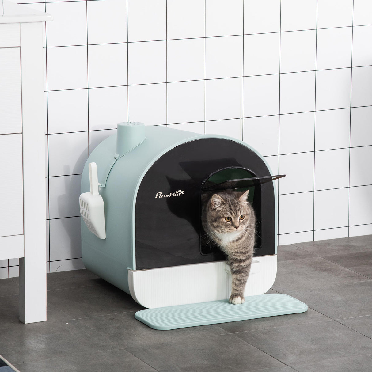 Enclosed Cat Litter Box with Filter, Scoop, and Tray - Ideal for Small Cats, PawHut, Green
