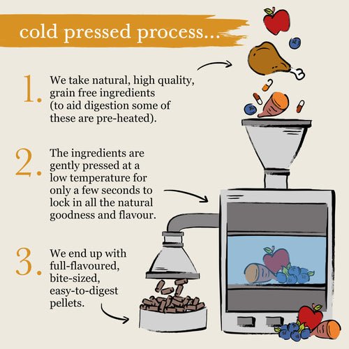 Forthglade Small Dog & Puppy Cold Pressed Grain Free Turkey 2 kg, Forthglade,