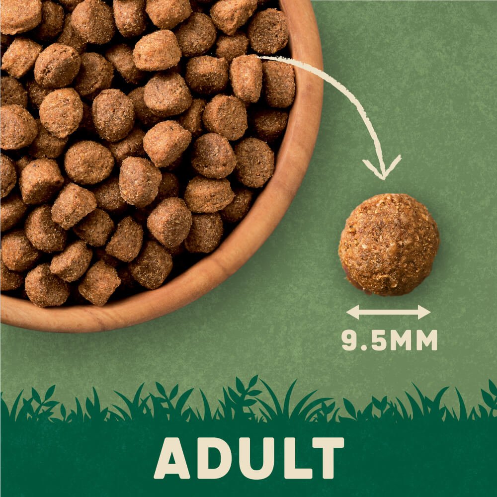 Harringtons Dry Adult Dog Food Rich in Chicken & Rice, Harringtons, 3 x 4kg