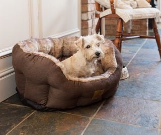 House of Paws Artic Fox Snuggle Oval Dog Bed, House of Paws, Small
