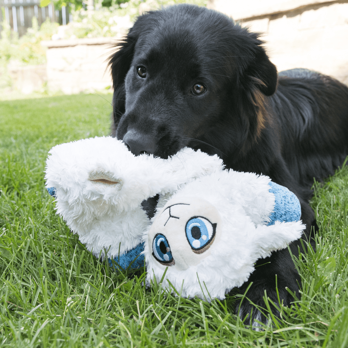 KONG Low Stuff Flopzie Lamb Dog Toy, Kong,