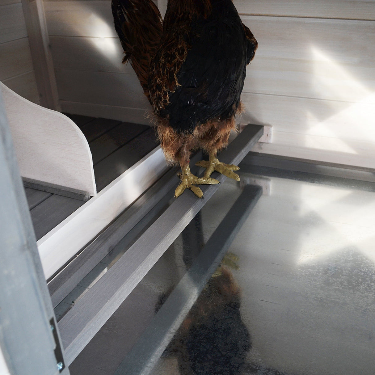 Outdoor Pine Chicken Coop with Nesting Box, PawHut, Dark Grey