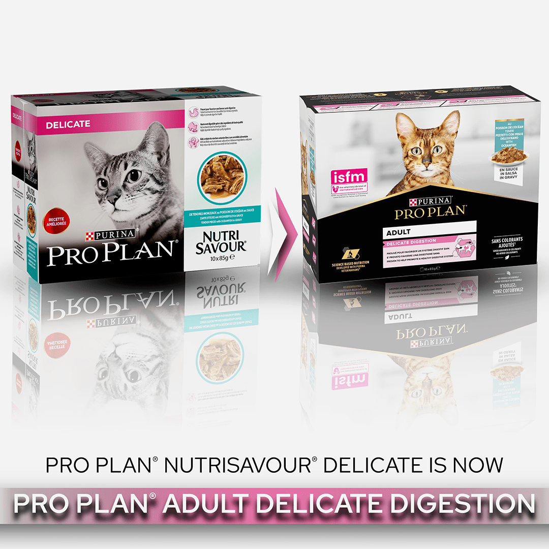 Pro Plan Delicate Digestion Adult Wet Cat Food Ocean Fish Pouches 4x (10x85g), Pro Plan,