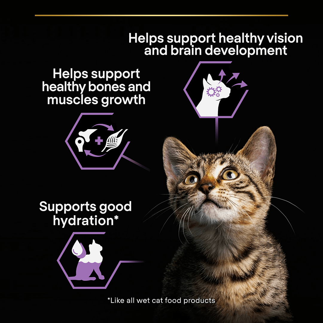 Pro Plan Healthy Start Kitten Wet Cat Food Turkey Pouches 4x (10x85g), Pro Plan,