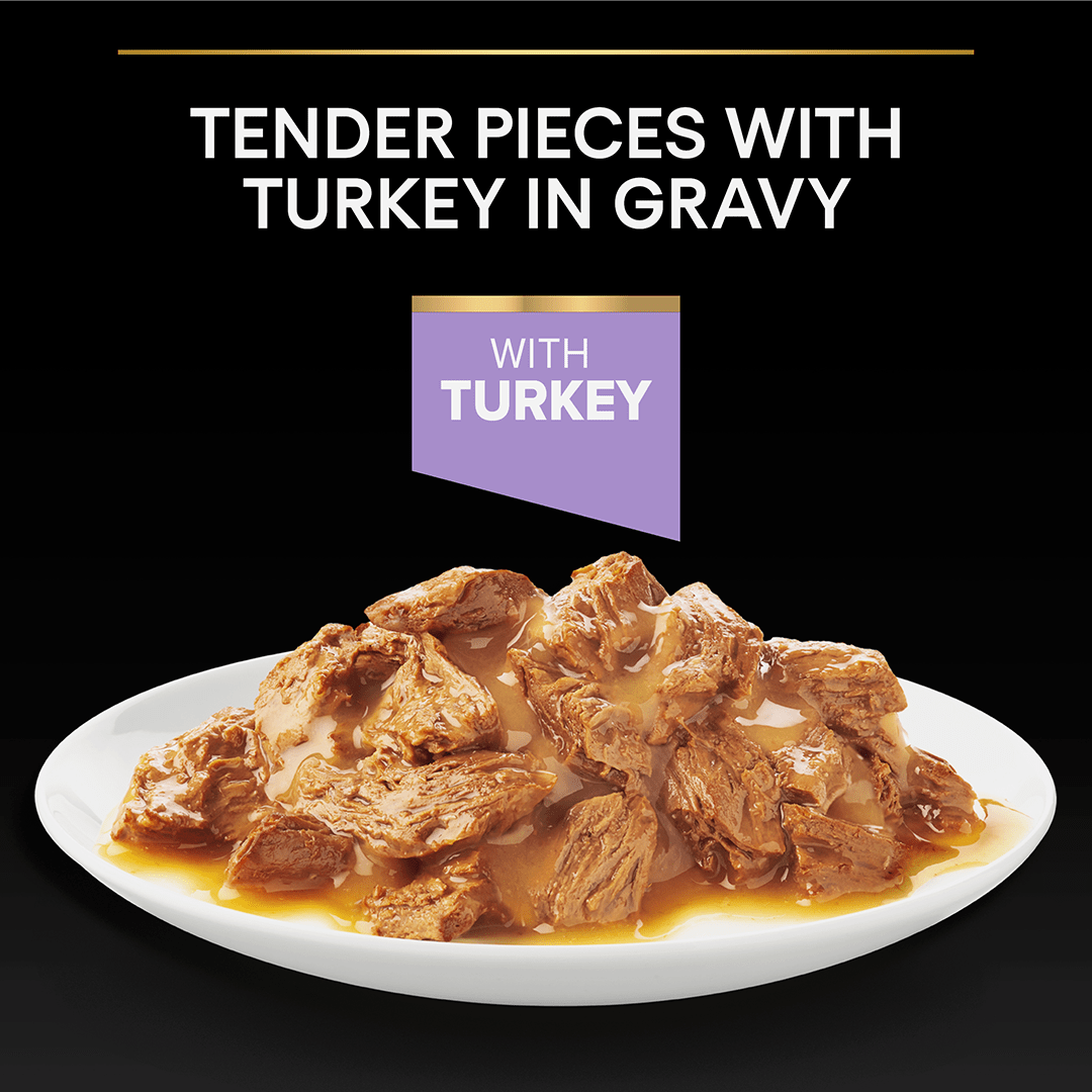 Pro Plan Healthy Start Kitten Wet Cat Food Turkey Pouches 4x (10x85g), Pro Plan,