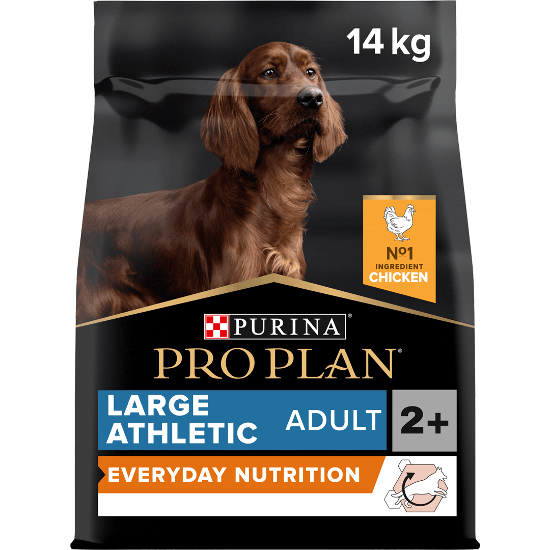 Pro Plan Large Athletic Adult Dog Everyday Nutrition Chicken Dry Dog Food 14 kg, Pro Plan,