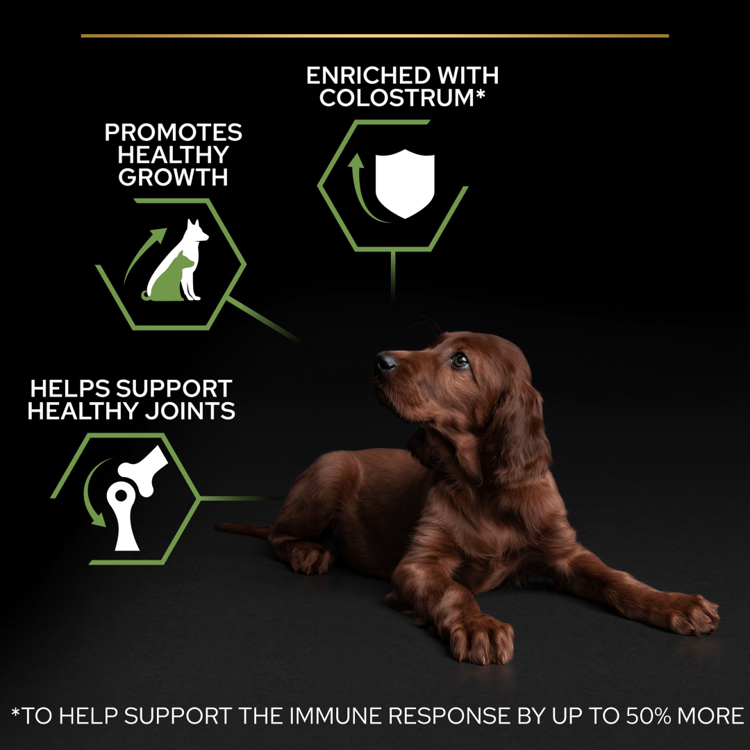 Pro Plan Large Athletic Puppy Healthy Start Chicken Dry Dog Food 12 kg, Pro Plan,