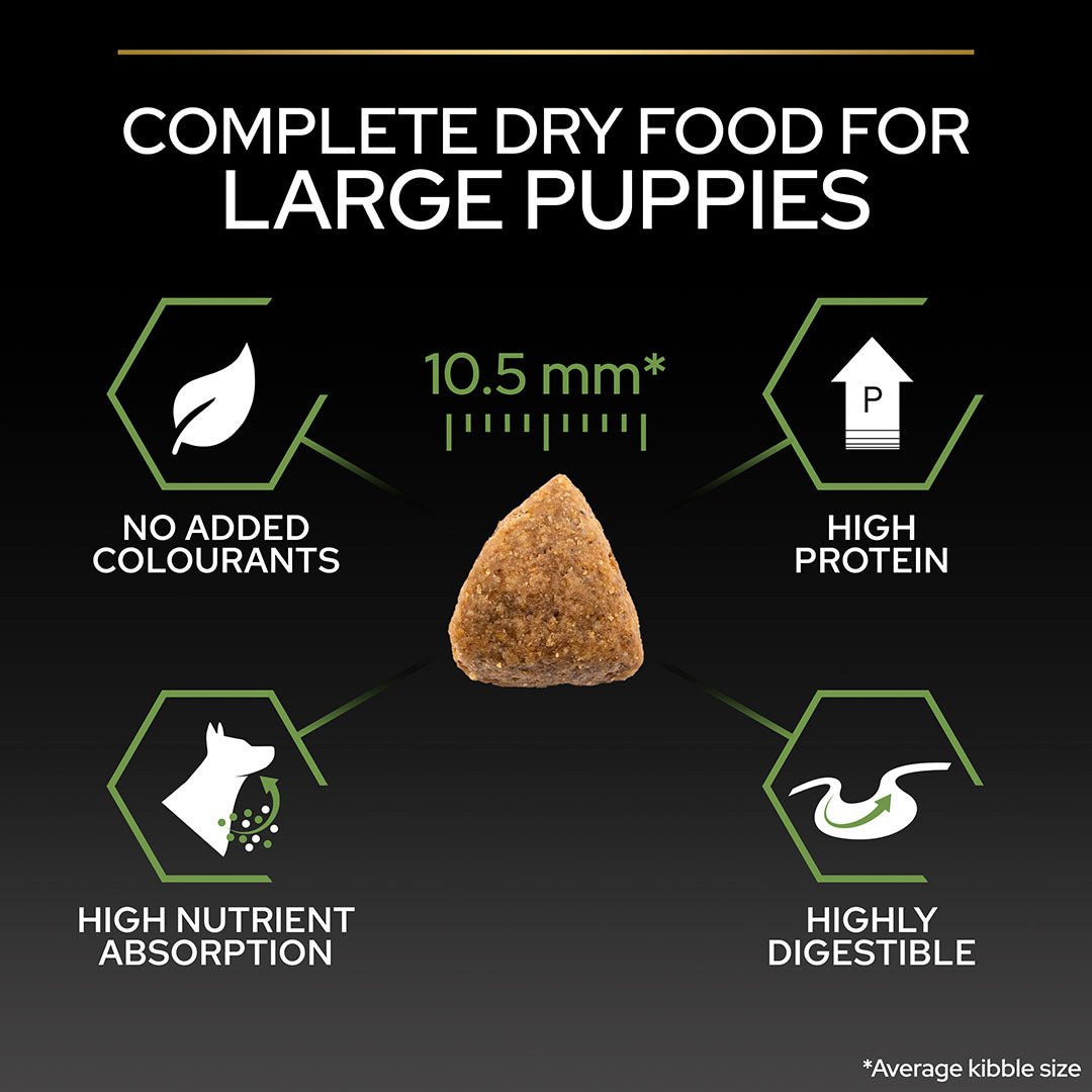 Pro Plan Large Athletic Puppy Healthy Start Chicken Dry Dog Food 12 kg, Pro Plan,