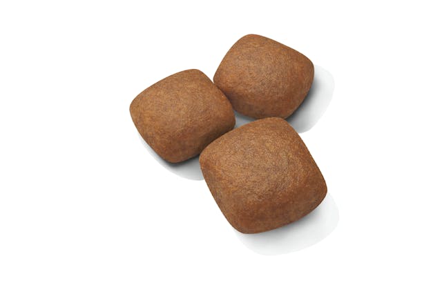 Royal Canin Giant Junior 15 kg, Royal Canin,