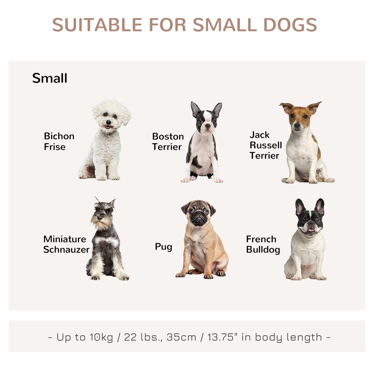 Stylish Wicker Dog Crate for Small Dogs: Lockable Door & Cushion, PawHut,