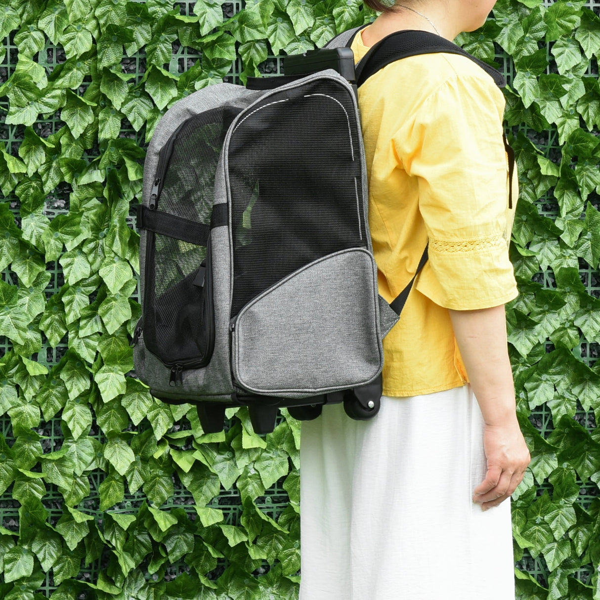 Versatile 2-in-1 Puppy Carrier & Backpack with Wheels, PawHut,