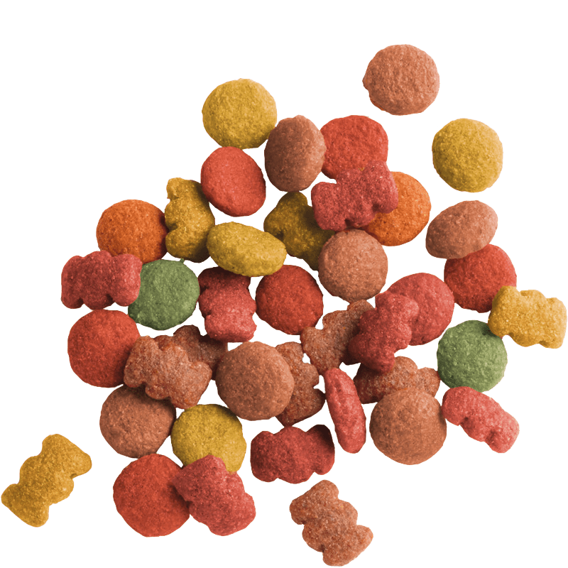 Versele Laga Lara Adult Beef, Versele Laga, 10 kg