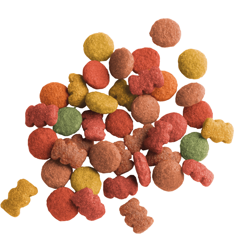 Versele Laga Lara Adult Lamb 4x2kg, Versele Laga,