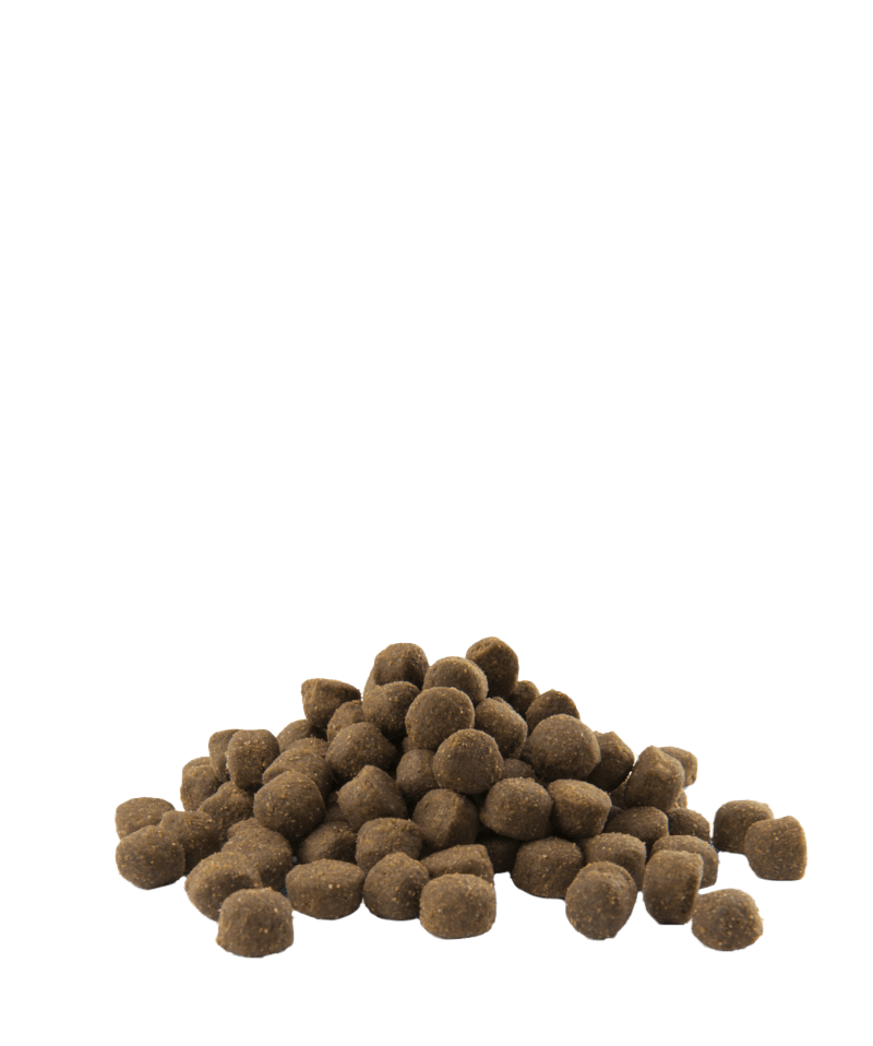 Versele Laga Opti Life Adult Active for All Breeds 12.5kg, Versele Laga,