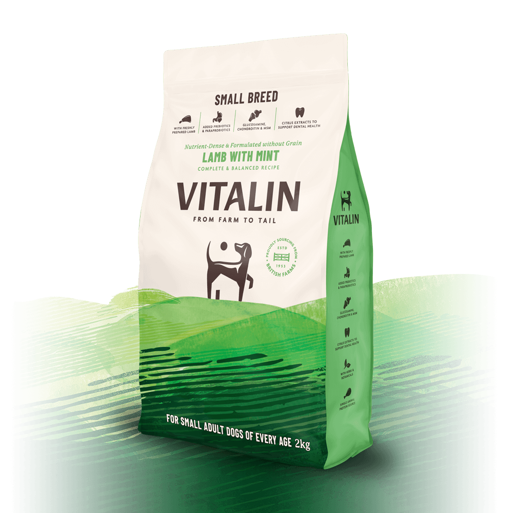 Vitalin Adult Small Breed Lamb with Mint 4x2kg, Vitalin,