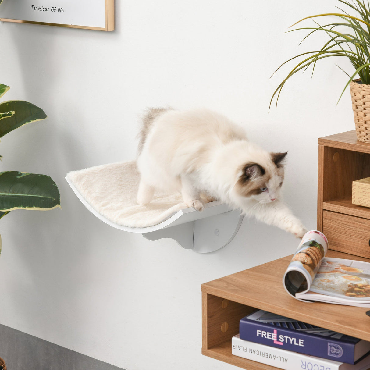 Wood Cat Shelves Wall-Mounted Shelter Curved Kitten Bed Cat Perch Climber Cat Furniture 41 x 28 x 21cm, PawHut, Brown