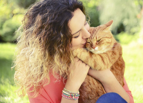 Demystifying Purring: Why Cats Purr - Very Important Pets | Shop