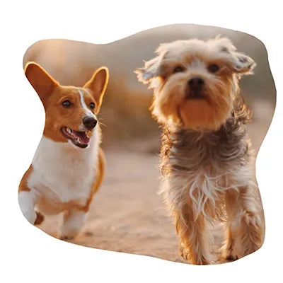 Two Dogs running towards camera. Link to all dog products