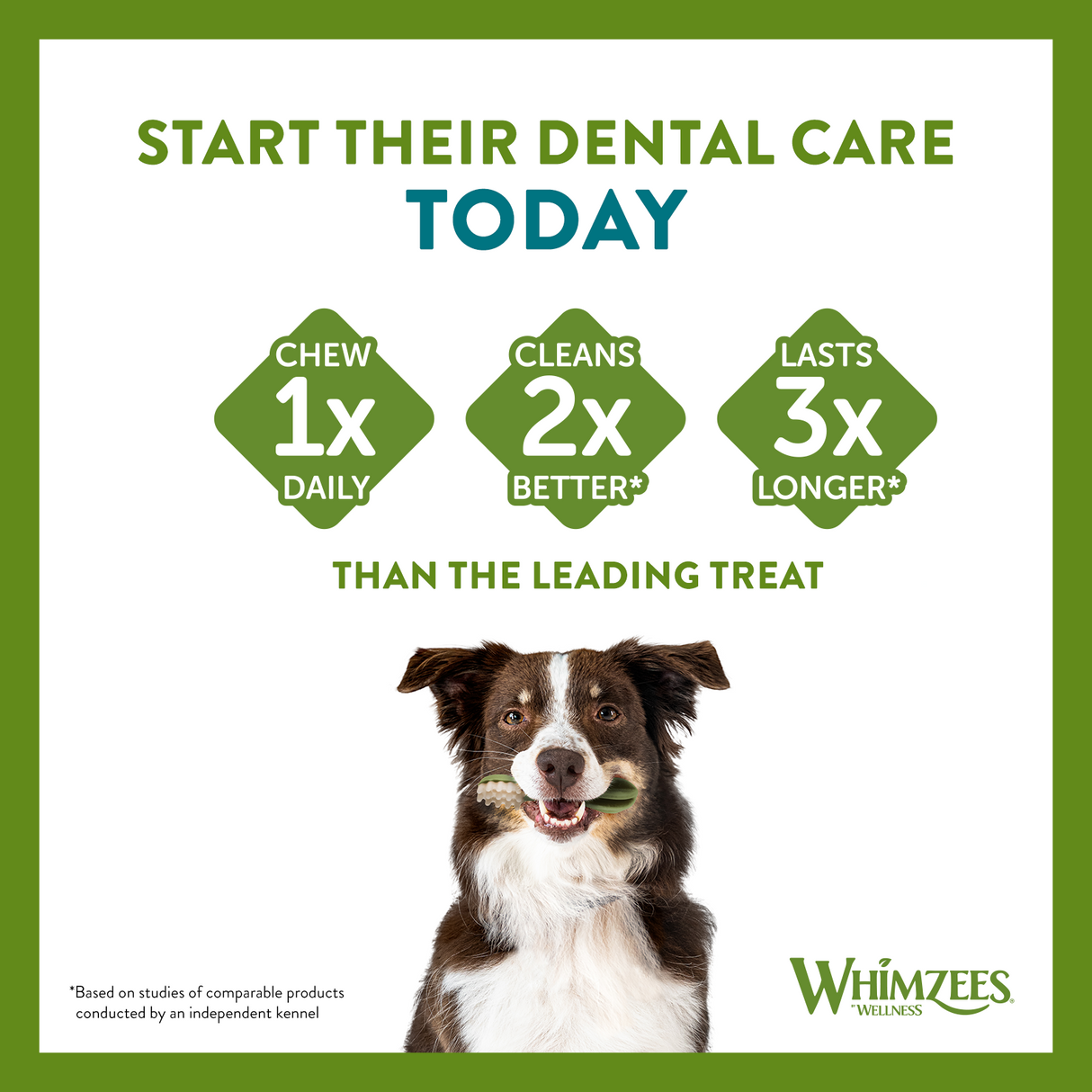 Whimzees Rice Bones Medium/Large Dog Treat x 50 Box