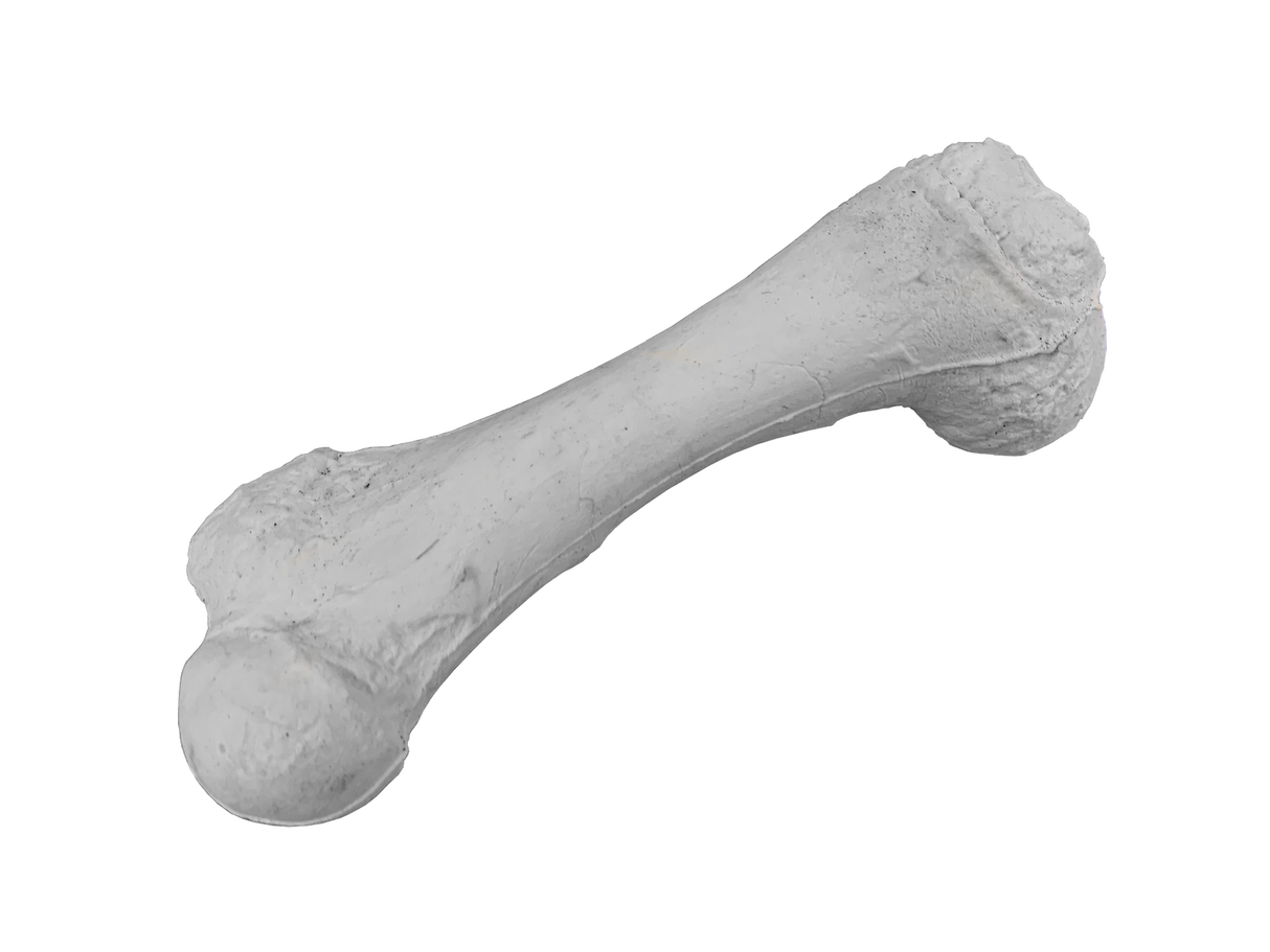 Chewtopia Chew Bone x6