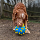 Ancol Playtime Chase Atomic Ball - x3 Dog Toys