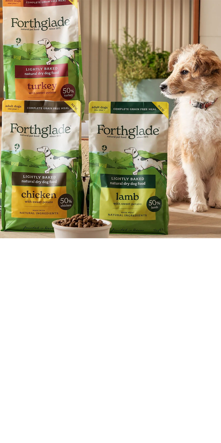 Forthglade dry dog food range picture, with a dog looking at the bags.
