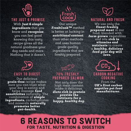 Harringtons Just 6 Salmon with Veg & Gravy Grain-Free Wet Dog Food - 8 x 380g