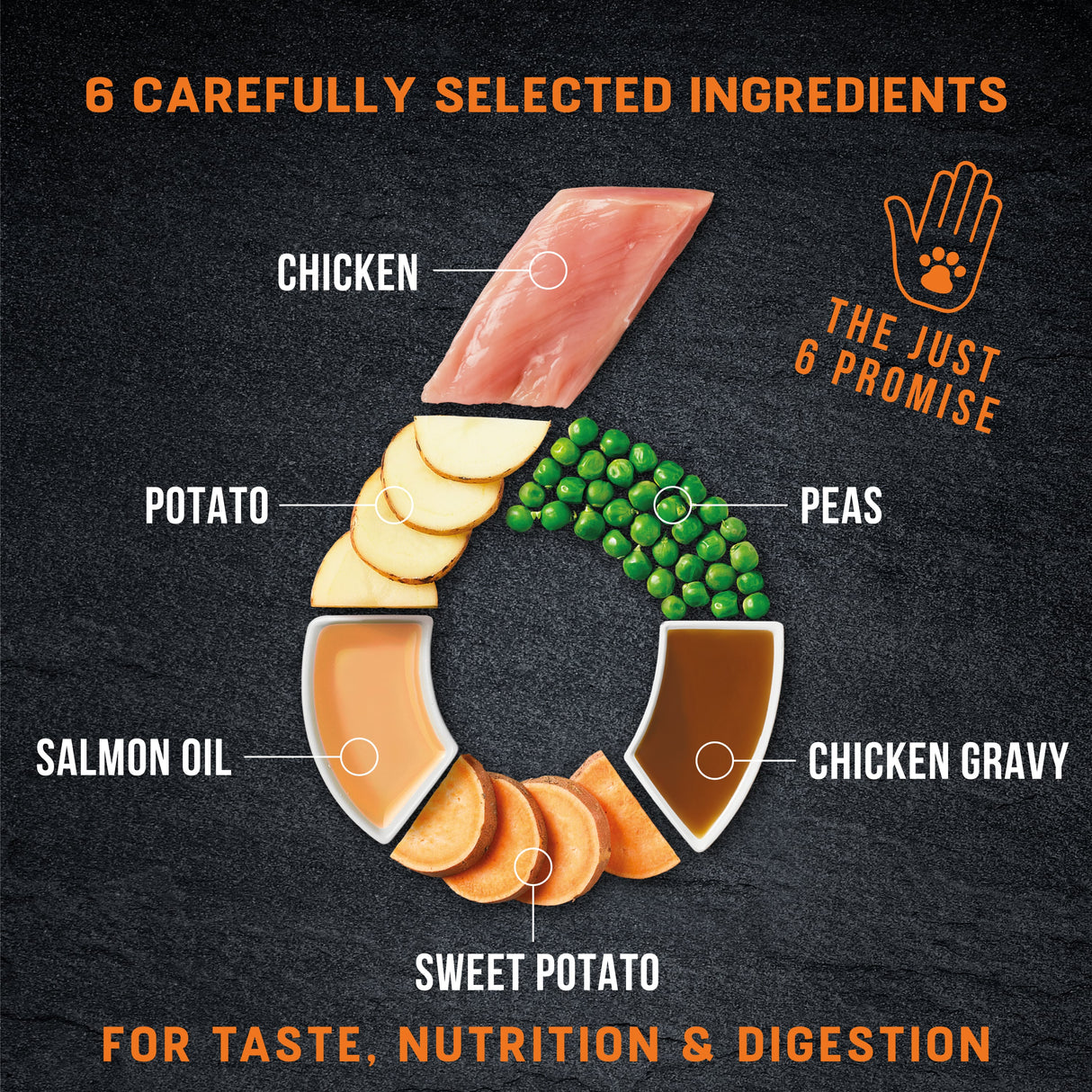 Harringtons Just 6 Chicken with Veg & Gravy Grain-Free Wet Dog Food - 8 x 380g